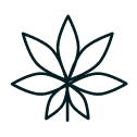 Cannabis icon